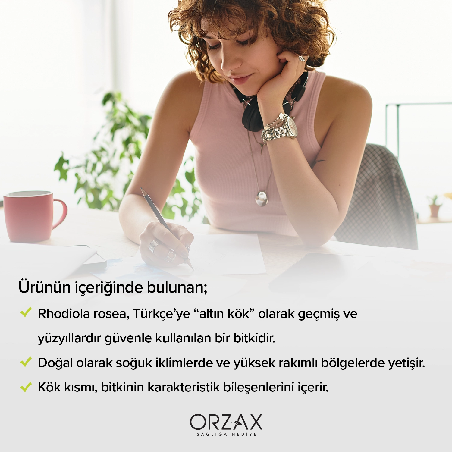 Ocean Rhodiola Tablet Ocean Rhodiola Tablet - Görsel 4