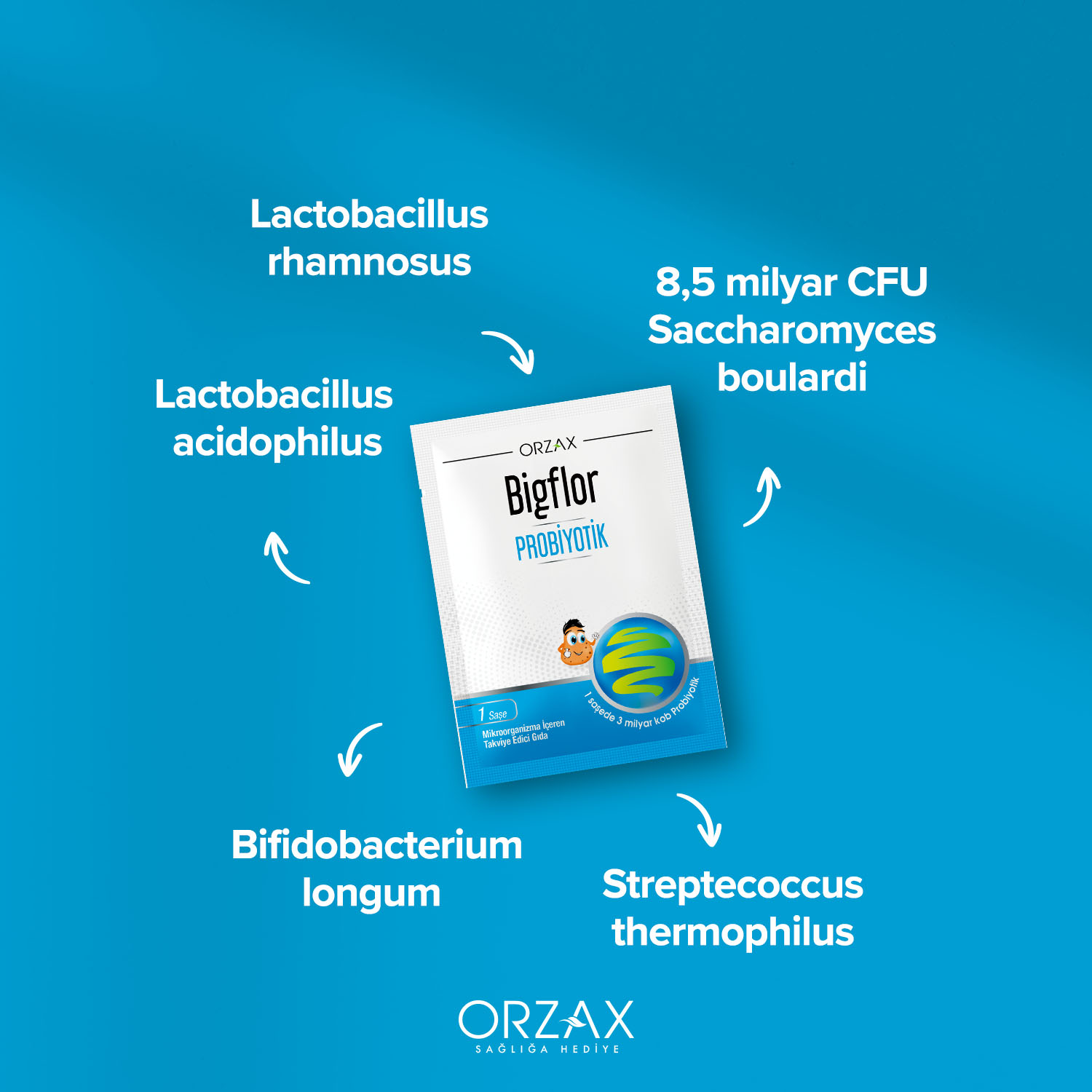 Bigflor Probiyotik Saşe Bigflor Probiyotik Saşe - Görsel 5