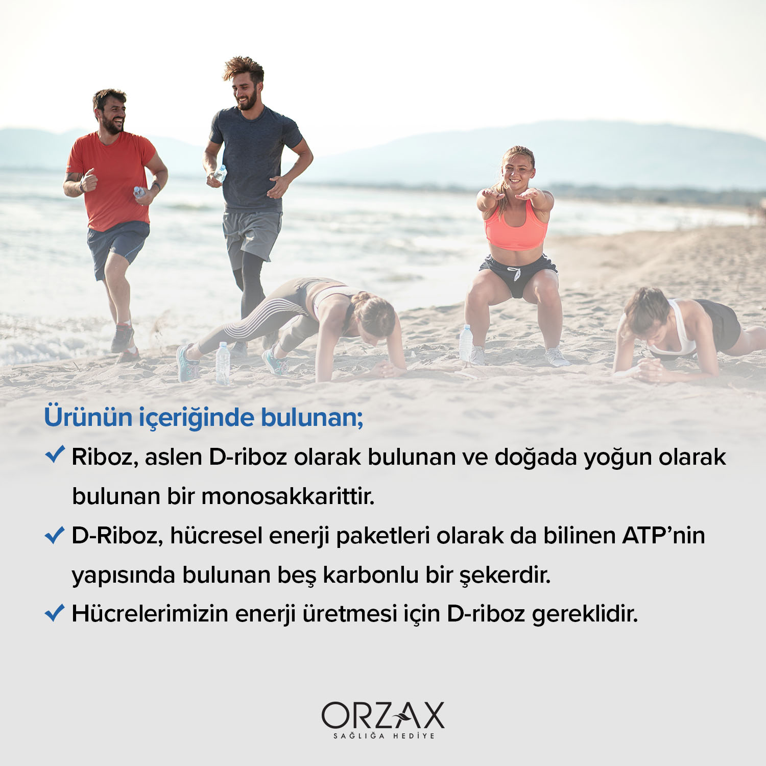 Ocean D-Riboz Saşe Ocean D-Riboz Saşe - Görsel 5