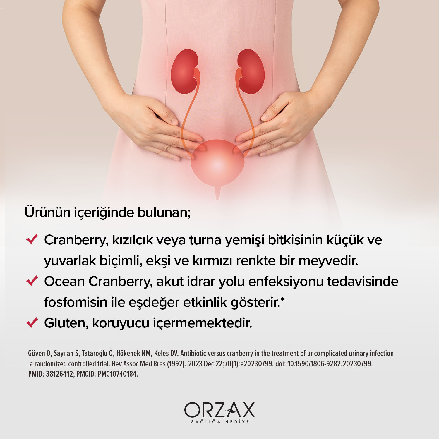 Ocean Cranberry Kapsül Ocean Cranberry Kapsül - Görsel 5