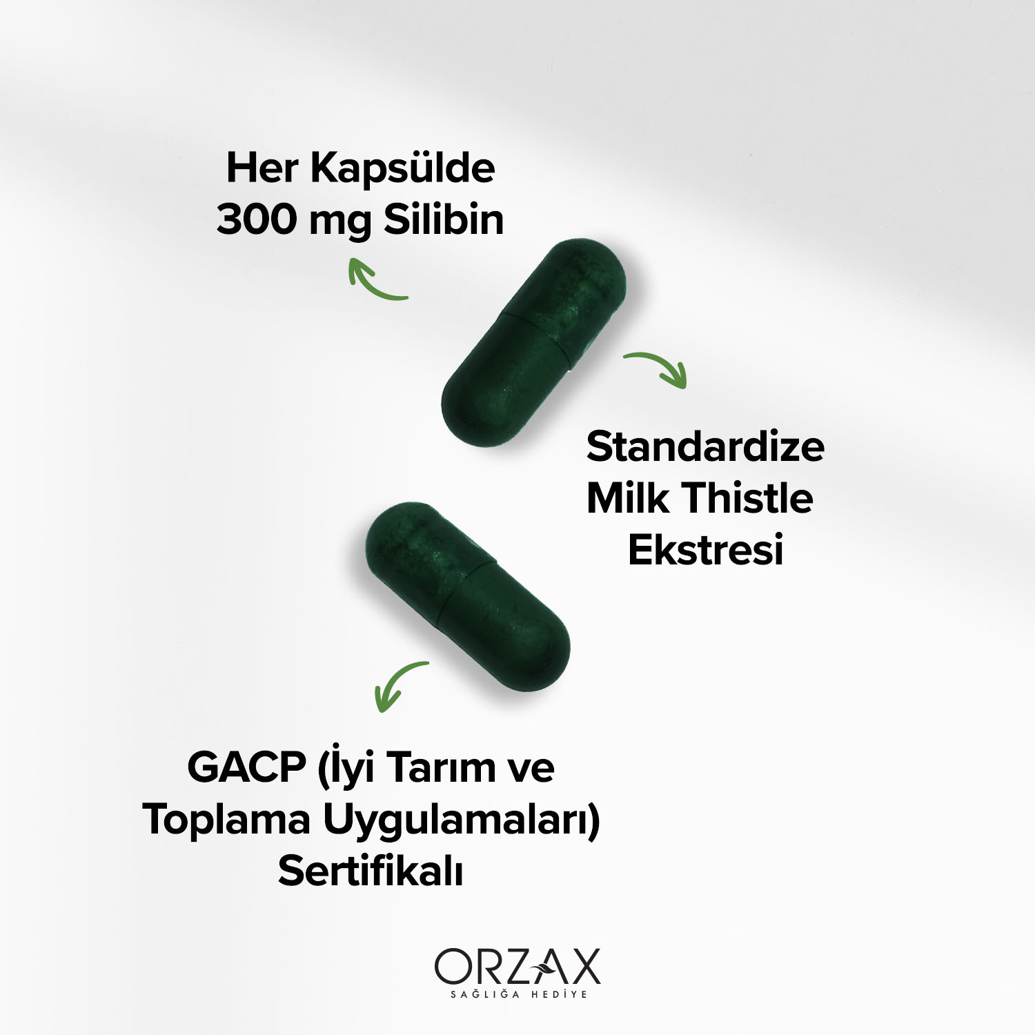 Ocean Milk Thistle Kapsül Ocean Milk Thistle Kapsül - Görsel 3