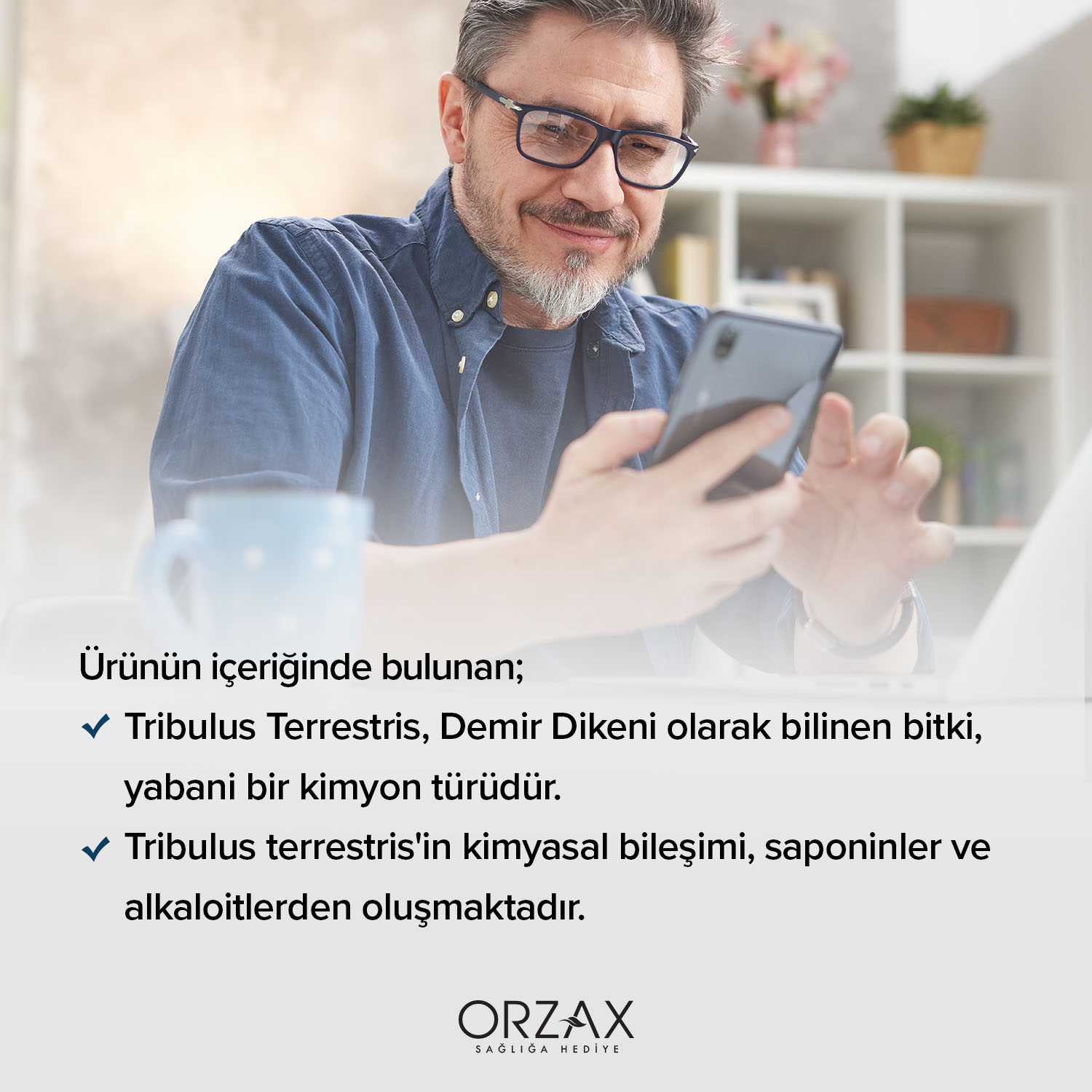 Ocean Tribulus Terrestris Kapsül Ocean Tribulus Terrestris Kapsül - Görsel 6