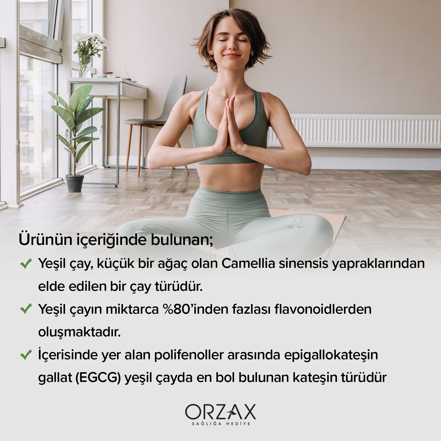 Ocean Yeşil Çay Kapsül Ocean Yeşil Çay Kapsül - Görsel 4