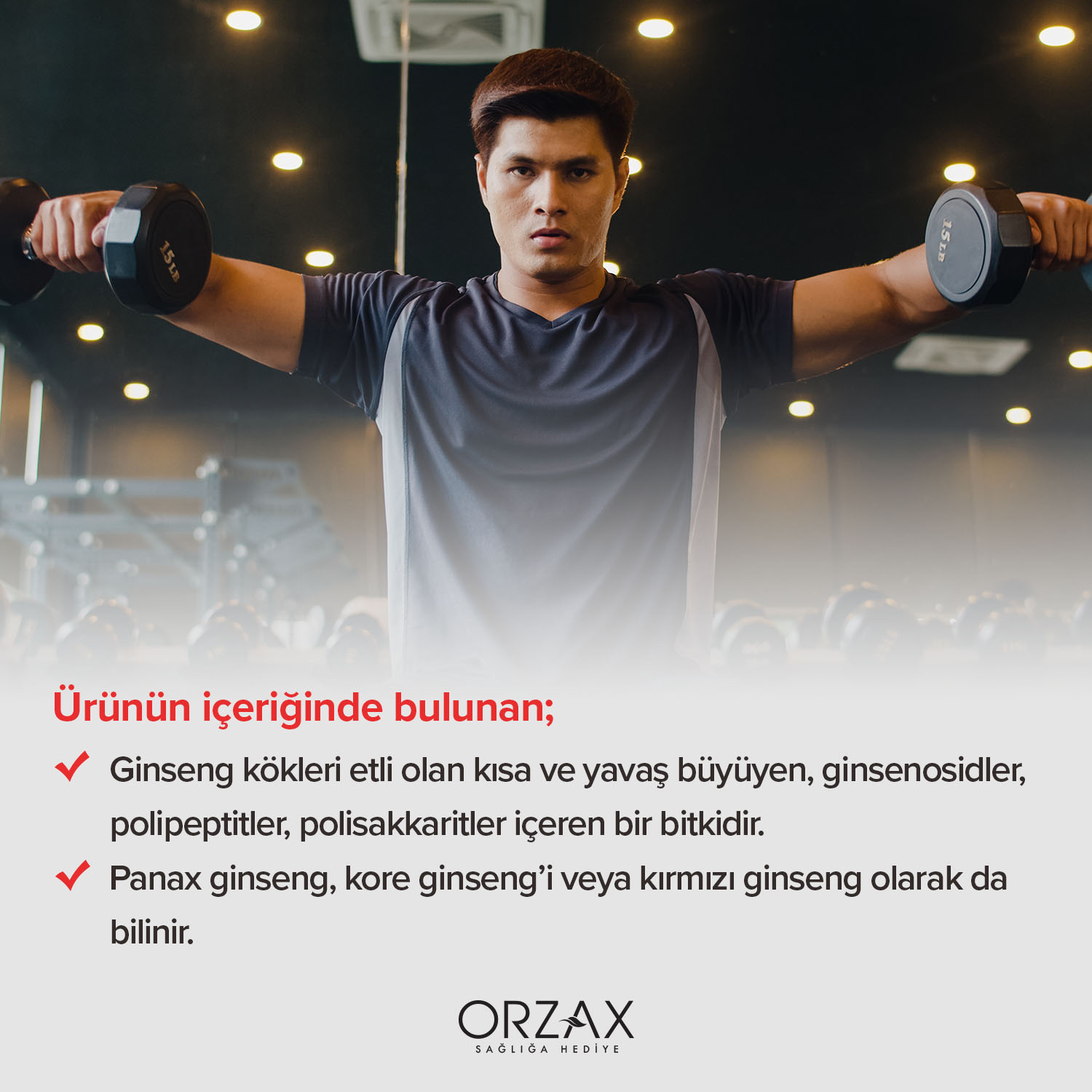 Ocean Panax Ginseng Kapsül Ocean Panax Ginseng Kapsül - Görsel 4